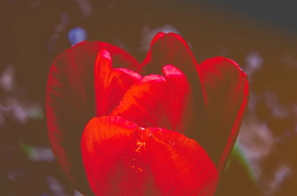 Photograph by Зыкова Мария