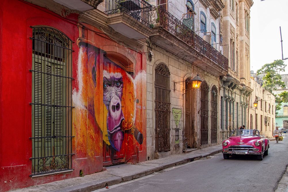 Фотография автора Aleksei Kartashov