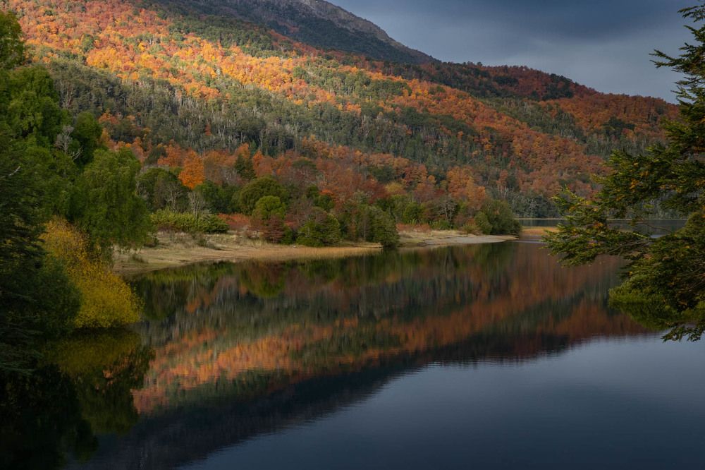 Photograph by MARCELO GIORGI