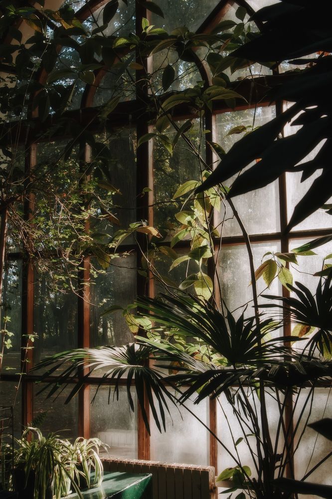 Photograph by Tatsiana Sialiuk