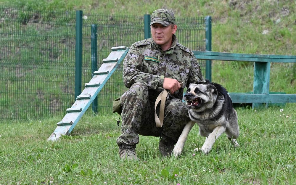 Photograph by Александр Мясников