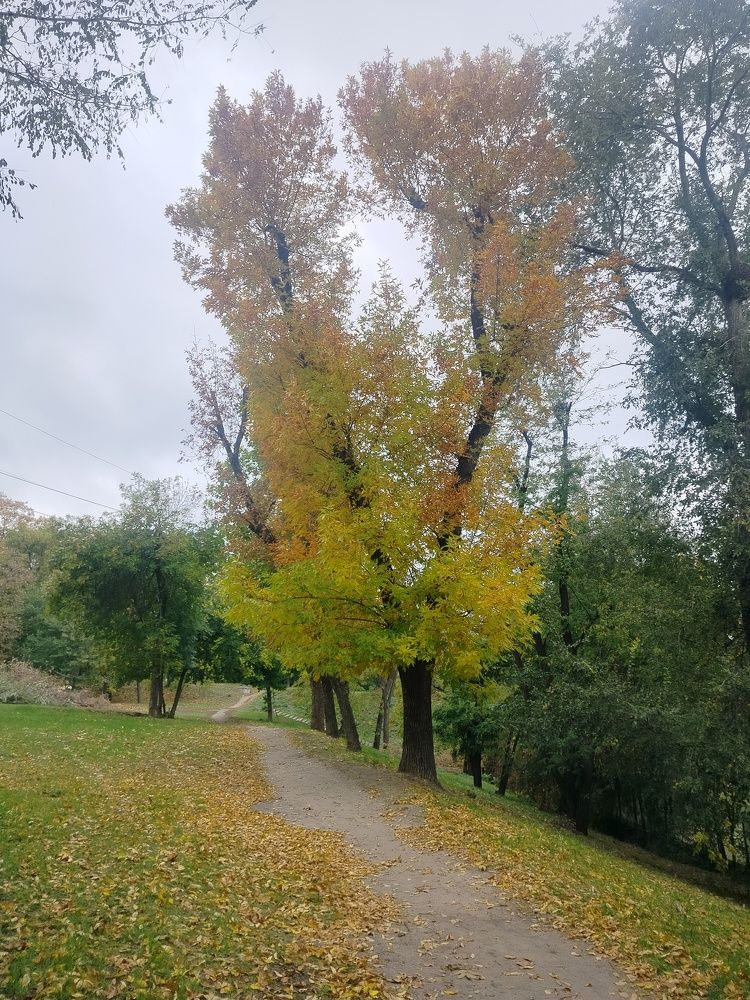 Photograph by Адамян Анна