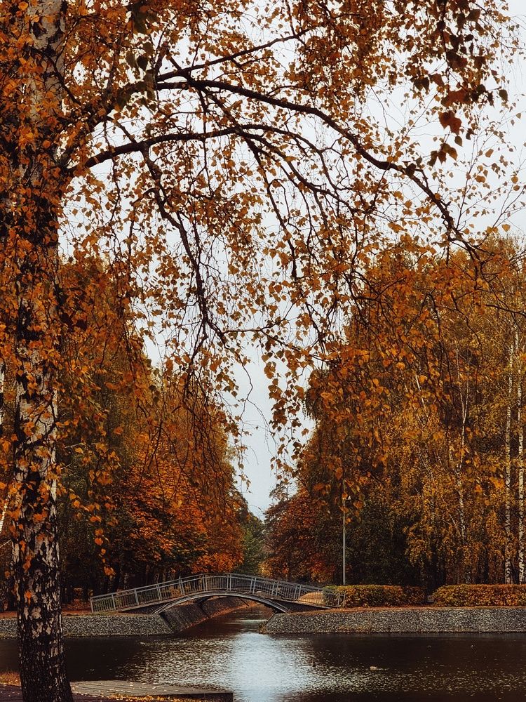 Photograph by Ksenia Paramonova