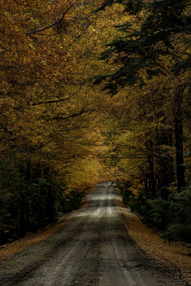 Photograph by MARCELO GIORGI