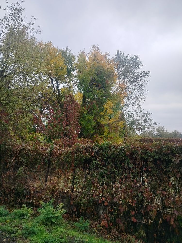 Photograph by Адамян Анна