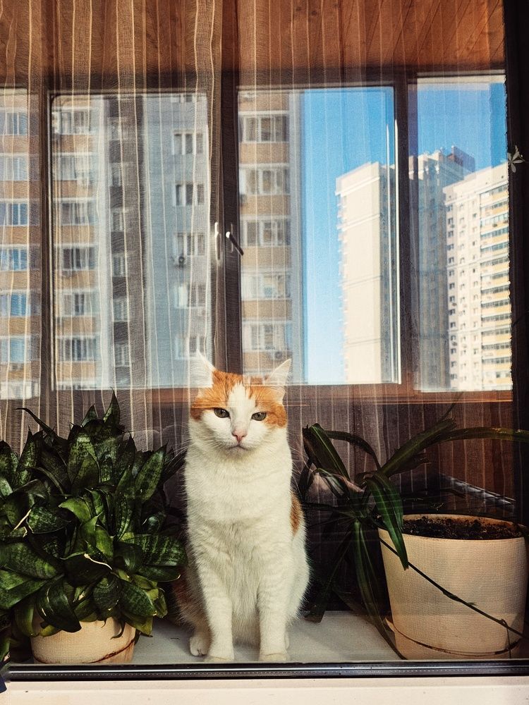 Photograph by Ksenia Paramonova