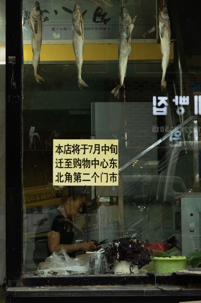 Фотография автора Оксана Вальянина