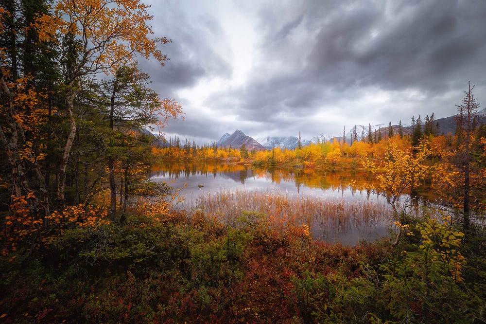 Photograph by Бабурский Андрей