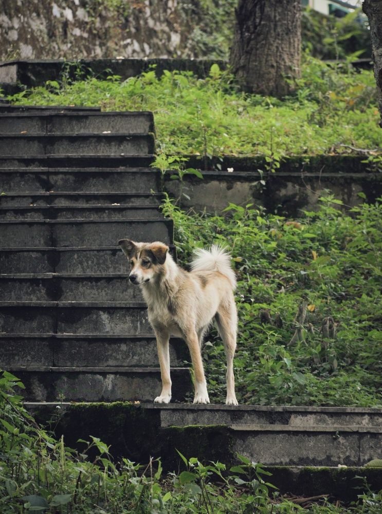 Photograph by Rajanya Biswas