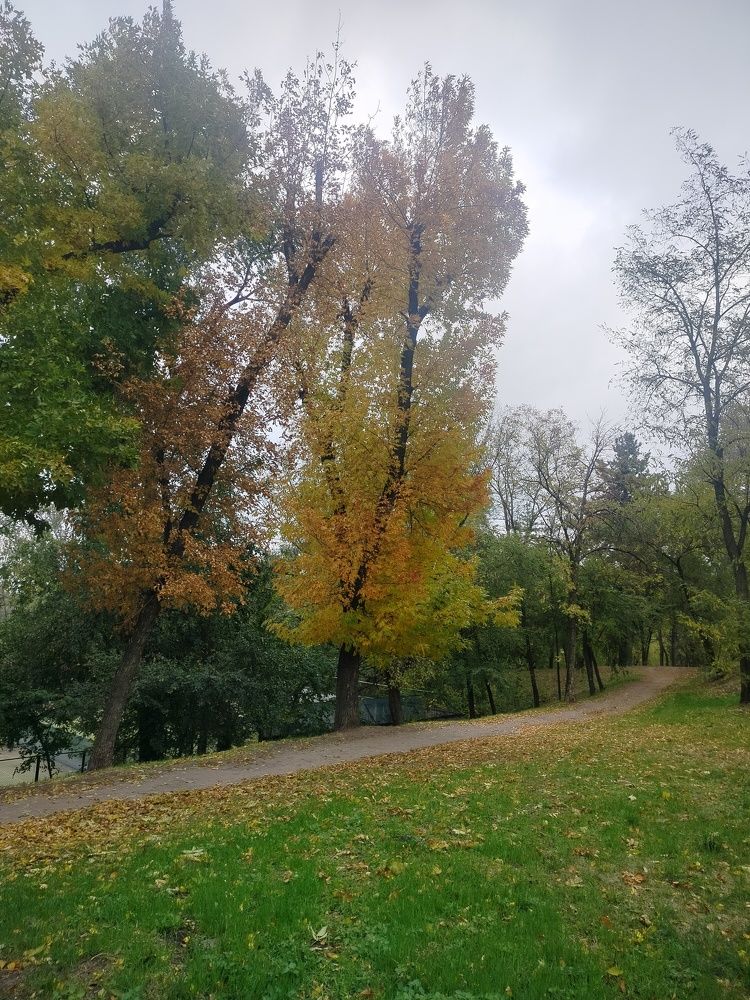 Photograph by Анна Лагун