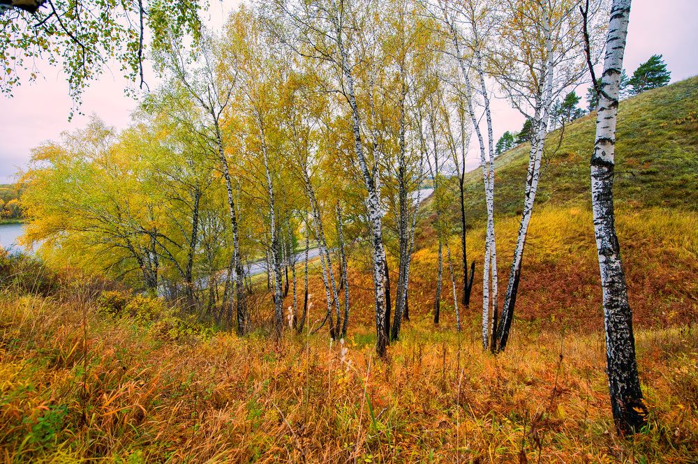 Photograph by Виктор Садырин