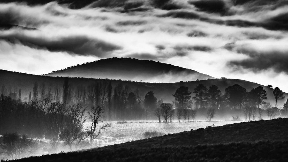 Photograph by MARCELO GIORGI