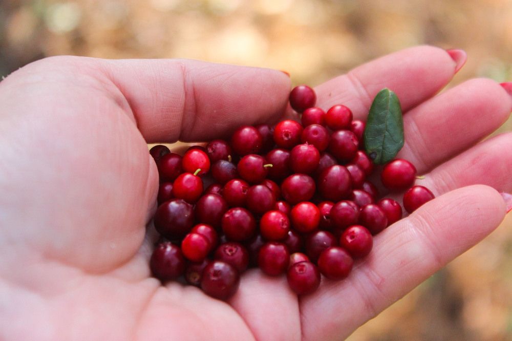 Photograph by Оксана Подъельская