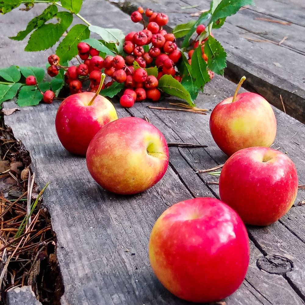 Photograph by Оксана Подъельская