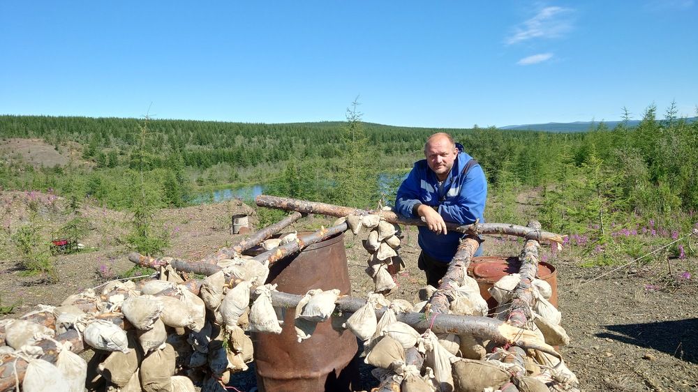 Photo #11207267