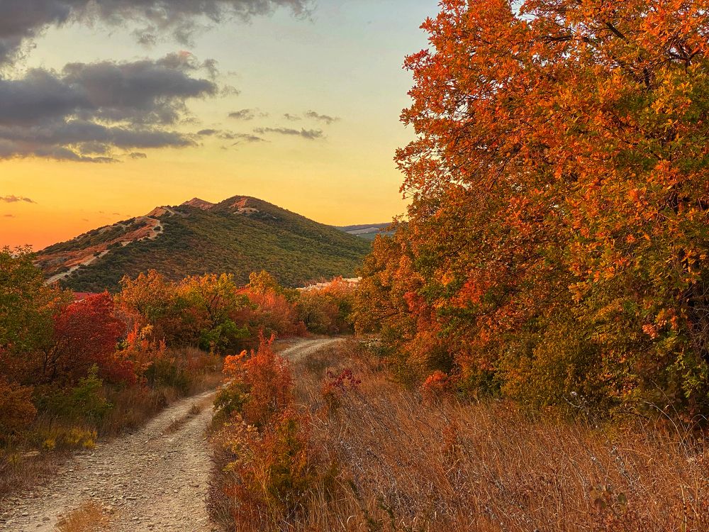 Фотография автора Екатерина Круглик