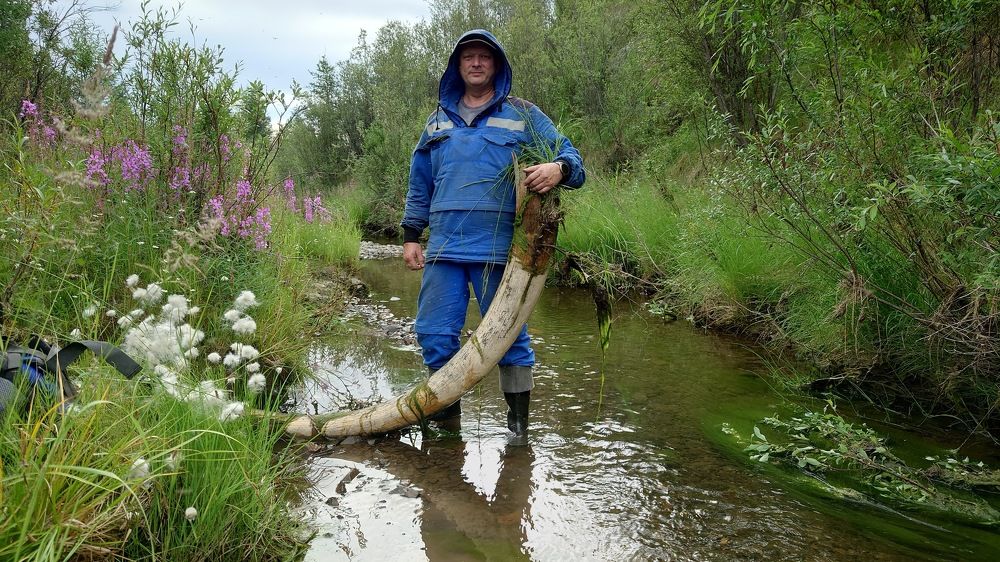 Photo #11207278