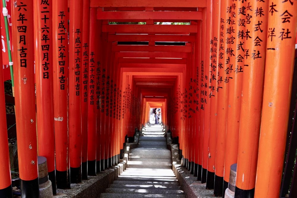 Фотография автора Liudmila Kiermeier