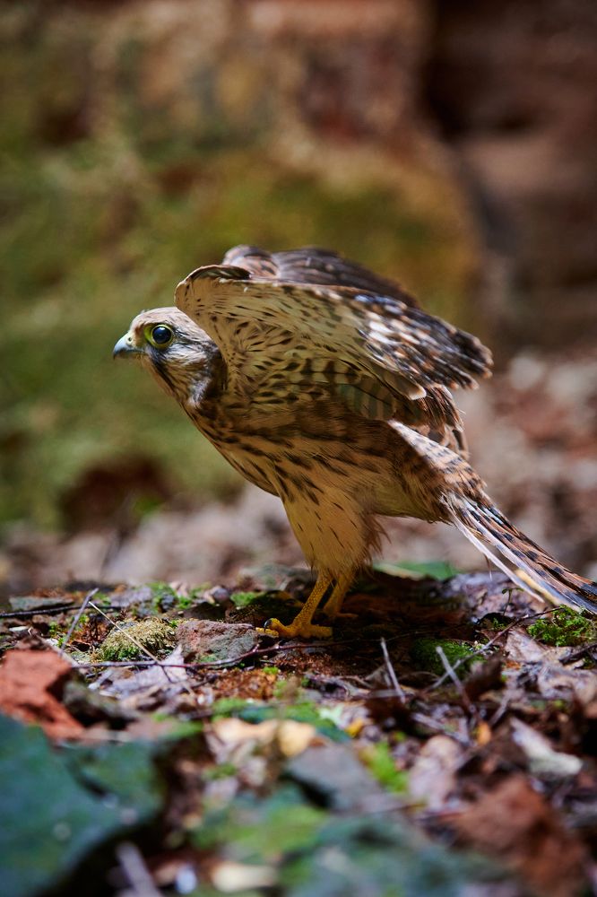 Фотография автора Александр Жданов