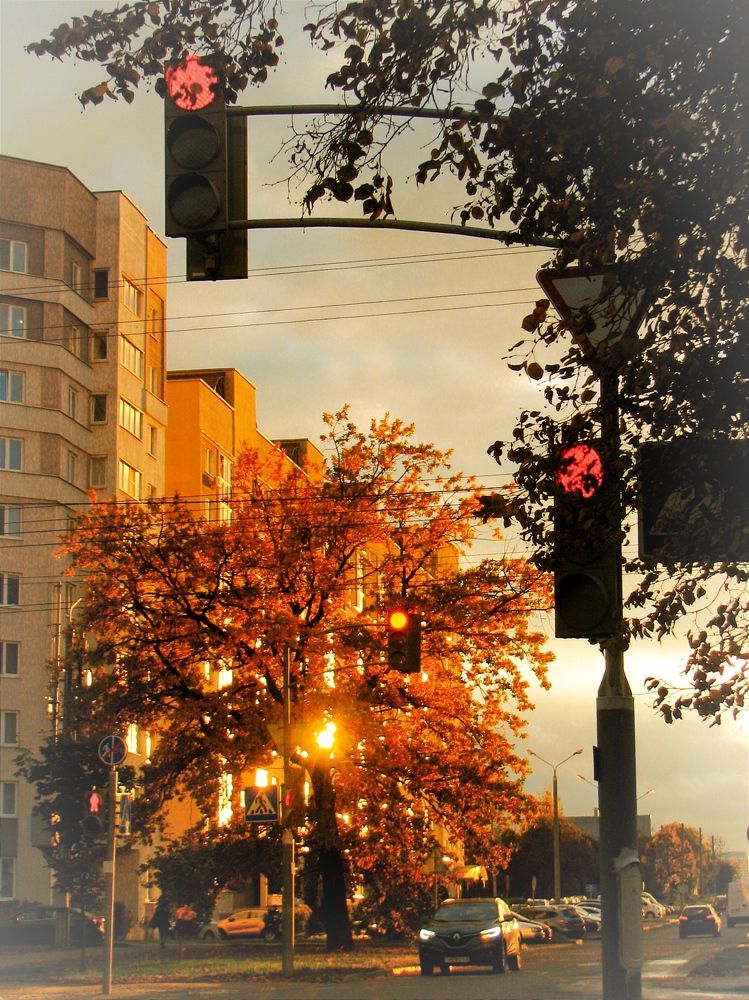 улица в красках осени