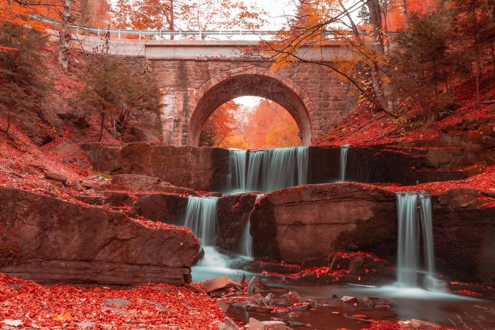 Photograph by Трайко Байко