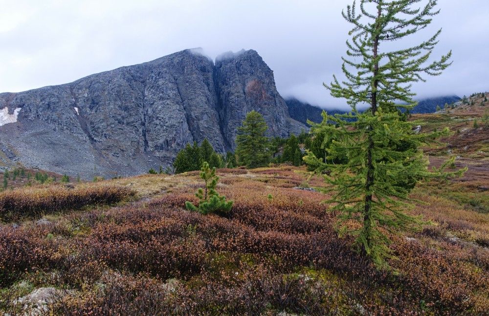 Photograph by Ольга Шибяева