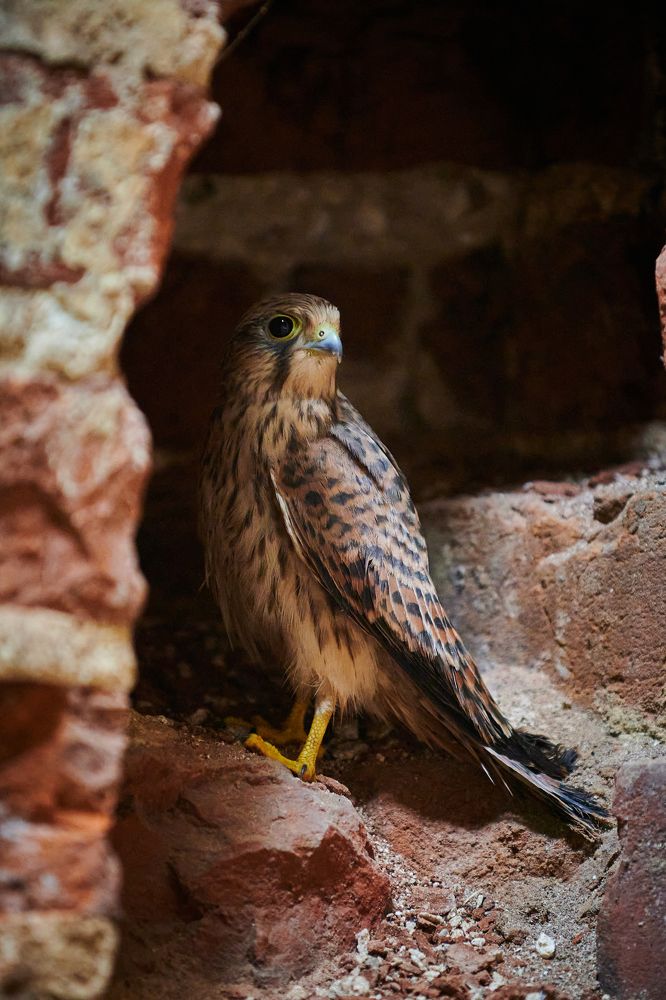 Фотография автора Александр Жданов