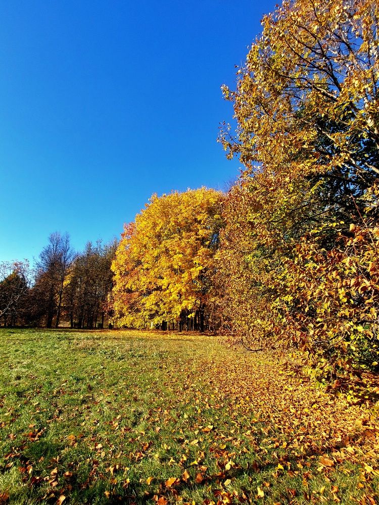 Photograph by Галина Маркова