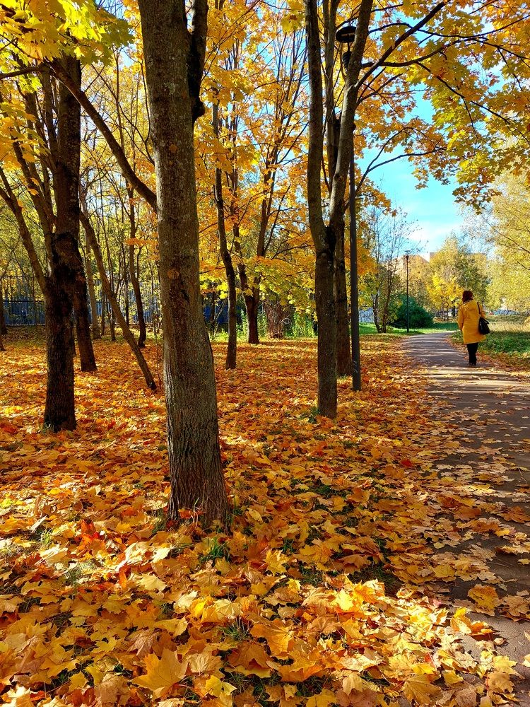 Photograph by Галина Маркова