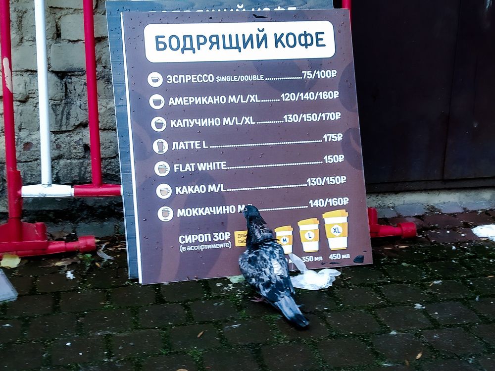 тяжелый выбор