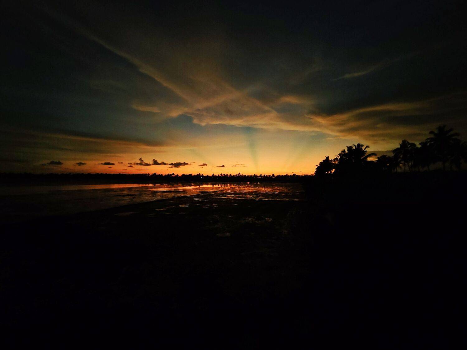 Photo #11207341
