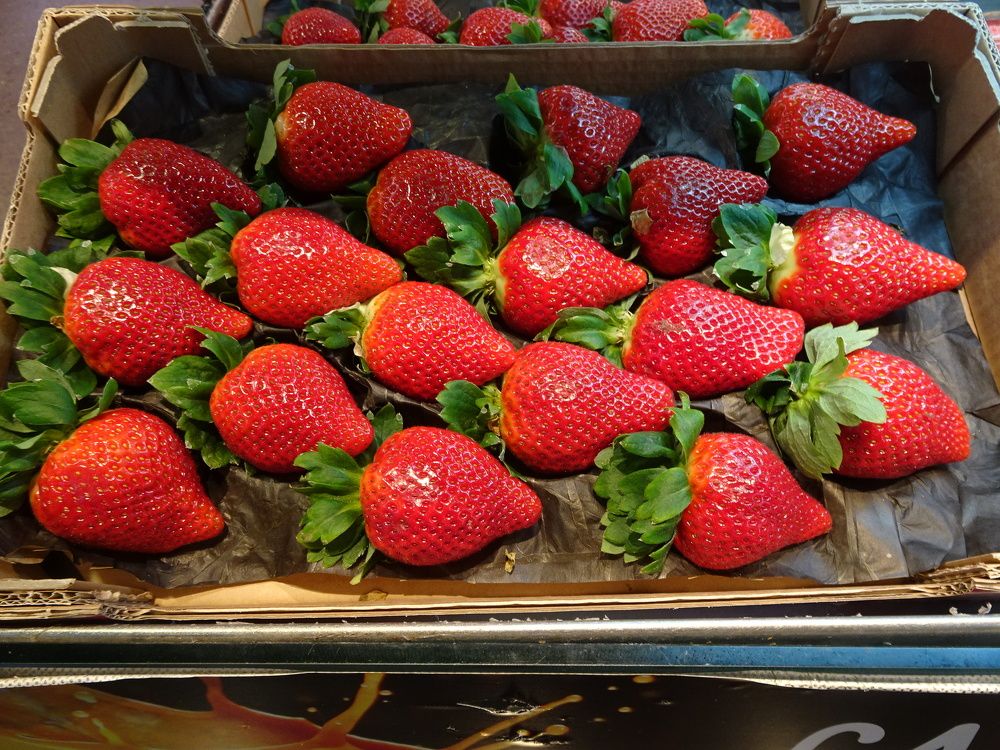 Photograph by Мила Милая