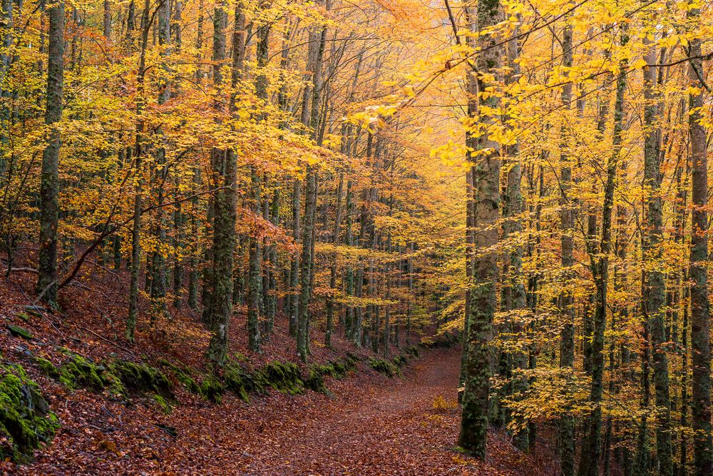 Photograph by Bruno Ribeiro