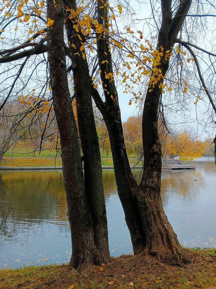 Фотография автора Евгений Карпов