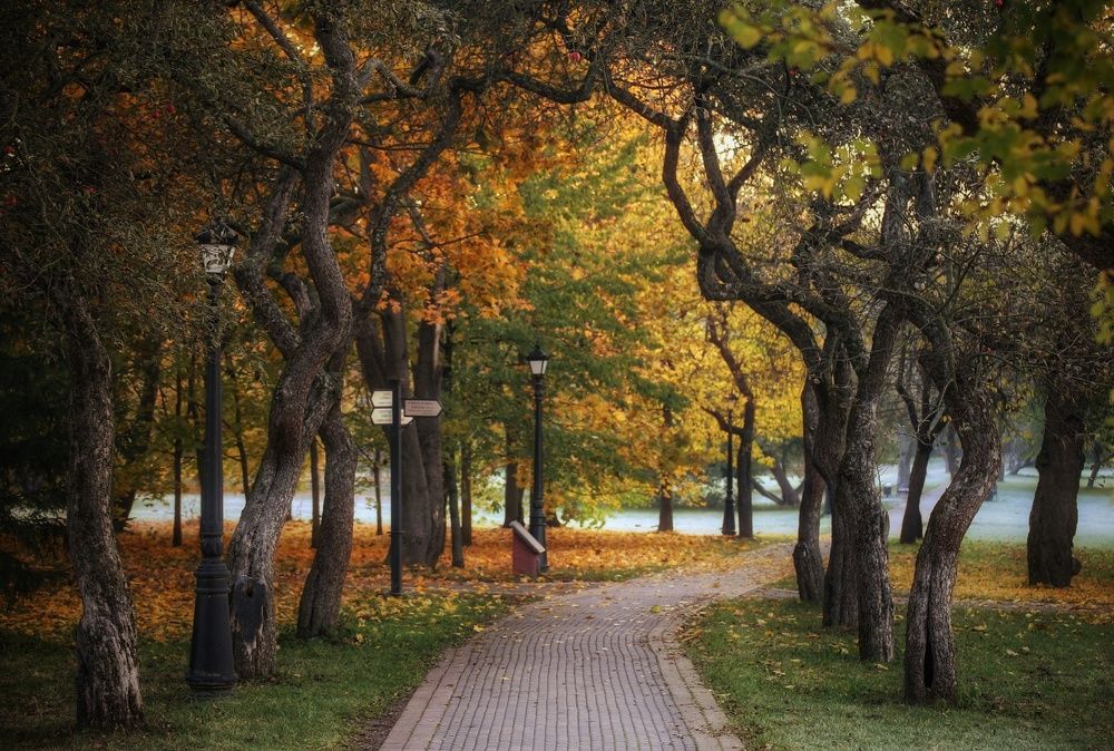 Photograph by Leanid Kulpo