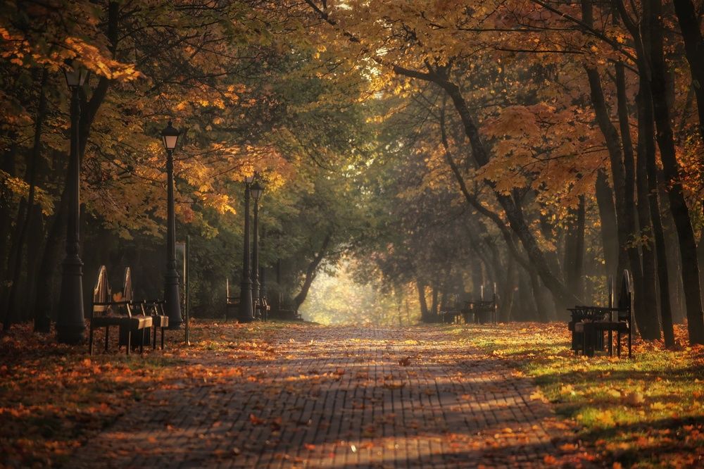 Photograph by Leanid Kulpo