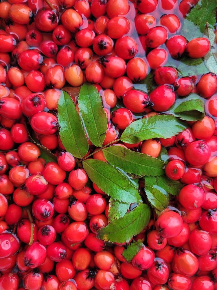 Фотография автора Казакова Людмила Ивановна