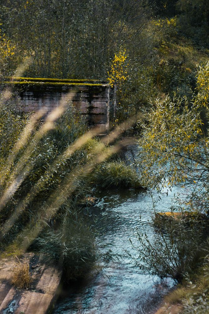 Фотография автора Алина Руденко