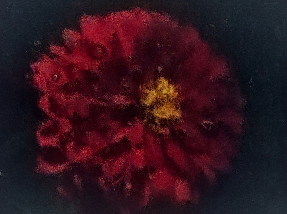 Фотография автора Рузинова Елена