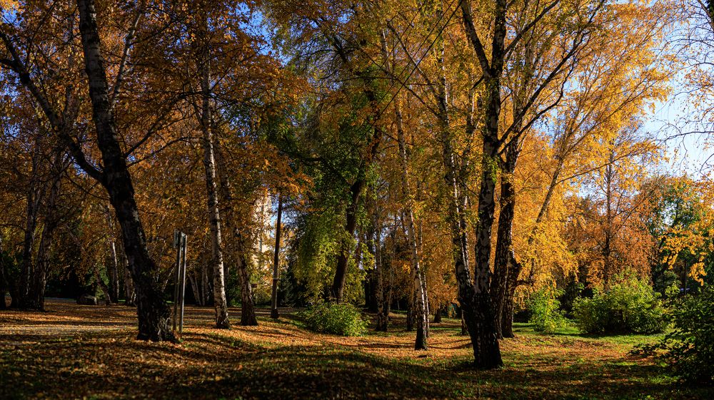Омск, парк им. 30-летия ВЛКСМ