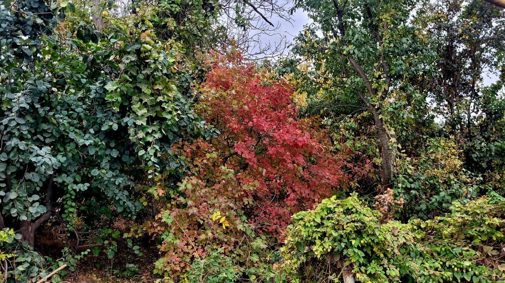 Photograph by Метушова Анна