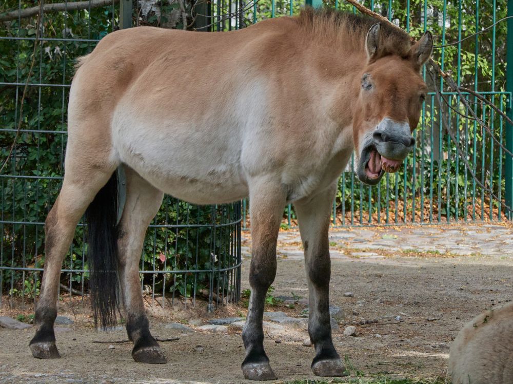 Фотография автора Ekaterina Palant