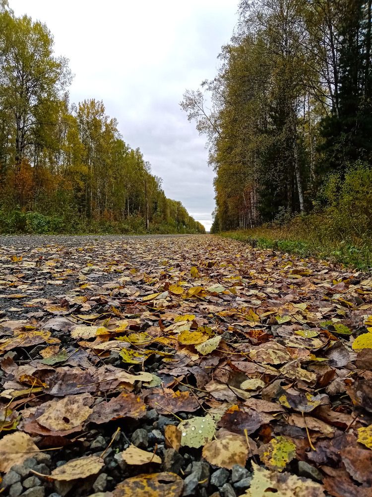 Photograph by Оксана Подъельская