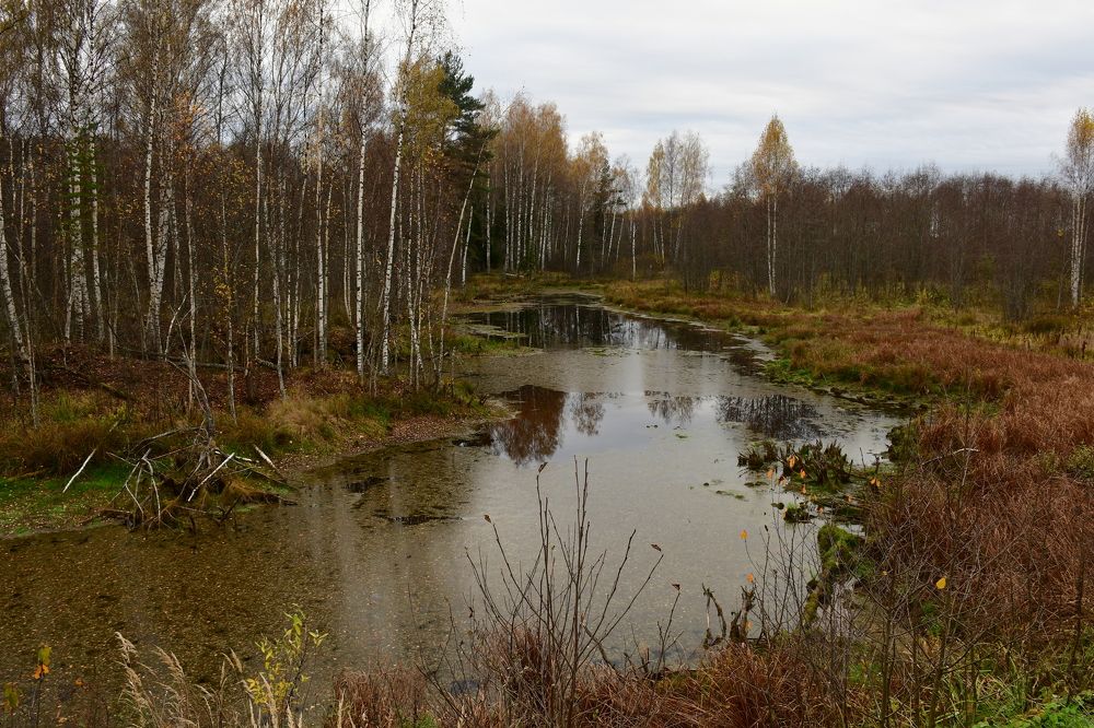 Photograph by Евстигнеев Евгений Васильевич