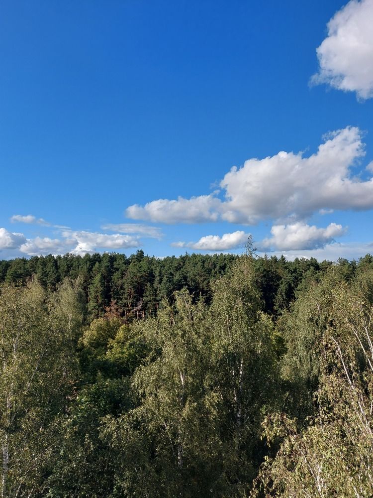 Photograph by Екатерина Мосевич