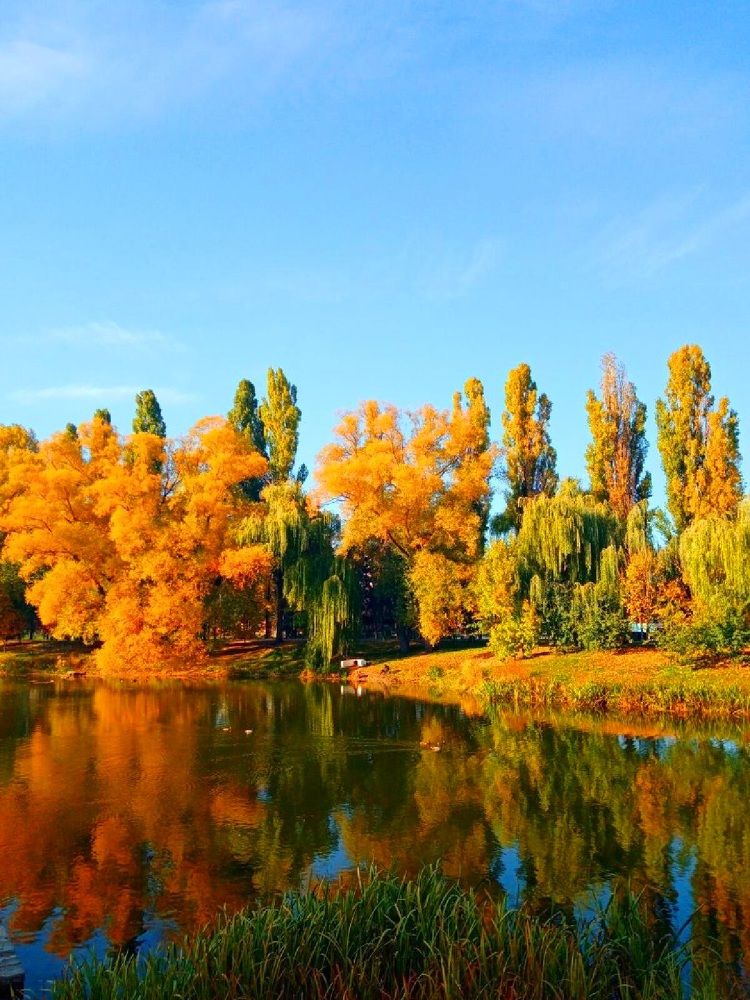 Photograph by Елена Никитина