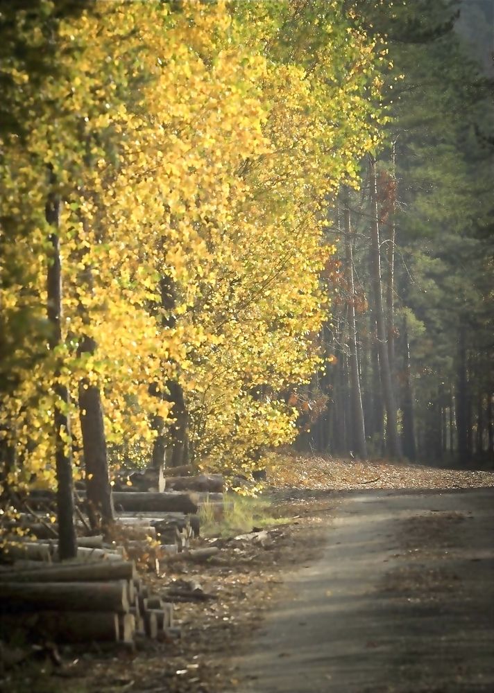 Photograph by Kateřina