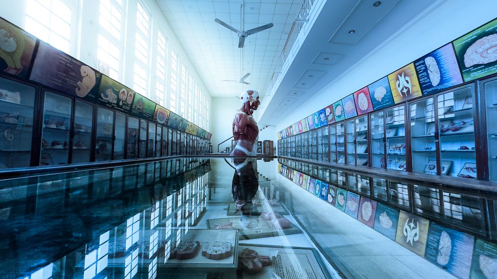 Photograph by Usama raza