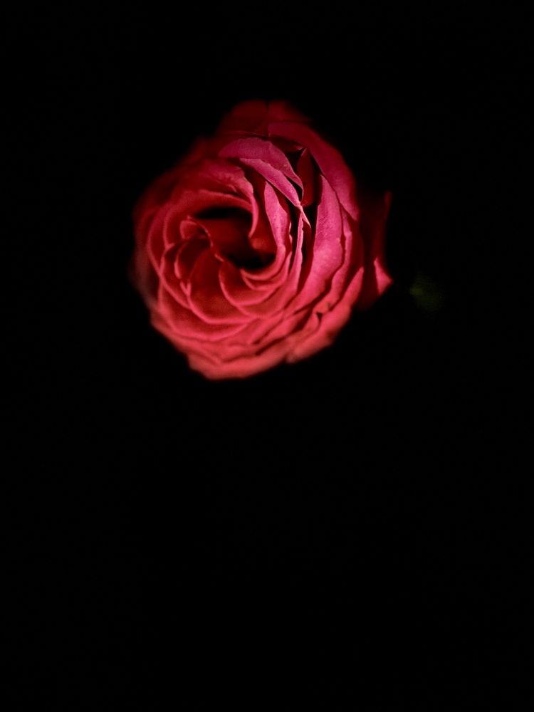 Photograph by Александра Акси