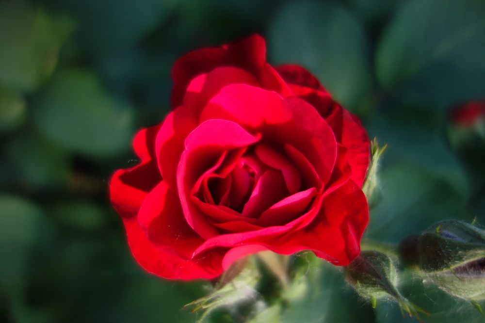 Photograph by Дарья Гришина